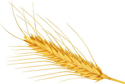 ORYXEL IS NOT ONLY OUR PRODUCTS